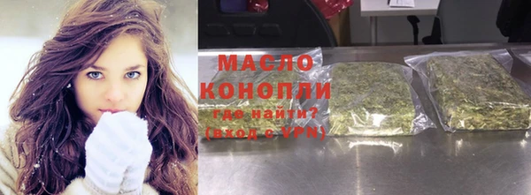 стаф Каменка