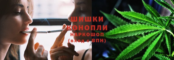 стаф Каменка