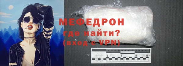 стаф Каменка