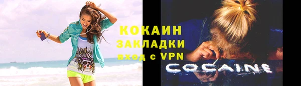 стаф Каменка