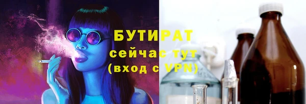 стаф Каменка