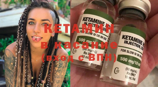 стаф Каменка