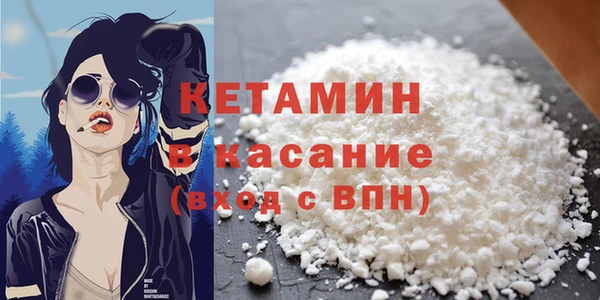 стаф Каменка